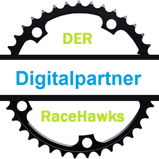Logo-Digitalpartner